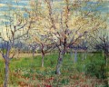 Orchard with Blossoming Apricot Trees Vincent van Gogh scenery